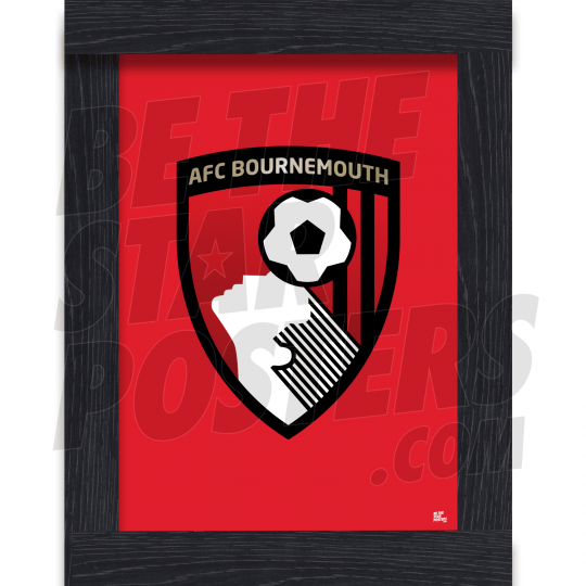 AFC Bournemouth Miscellany: Cherries Trivia, History, Facts and Stats:  Matthews, Tony: 9781785310829: : Books