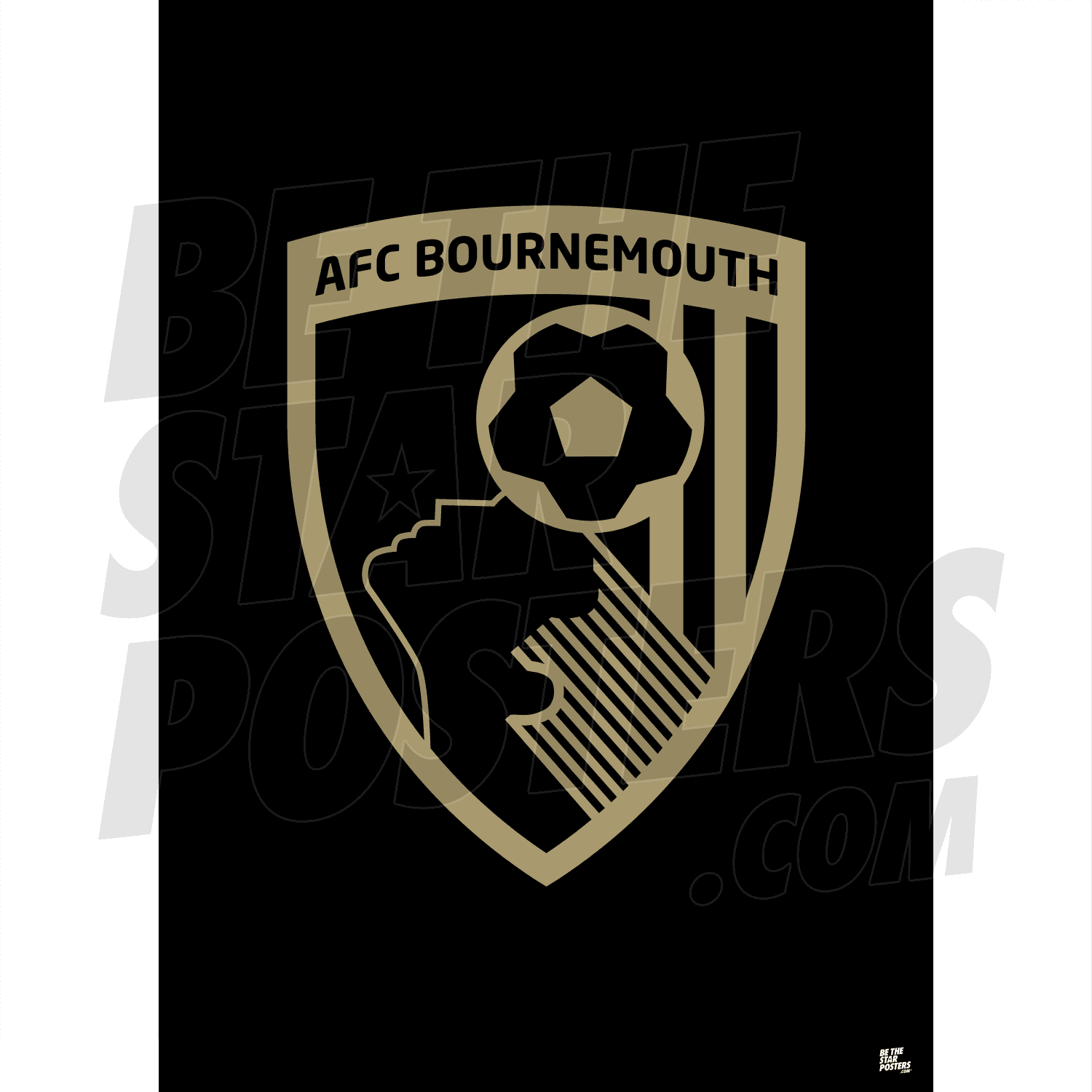 AFC Bournemouth - Bournemouth