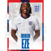 England Eze 24/25 Home Headshot Poster