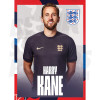 England Kane 24/25 Away Headshot Poster